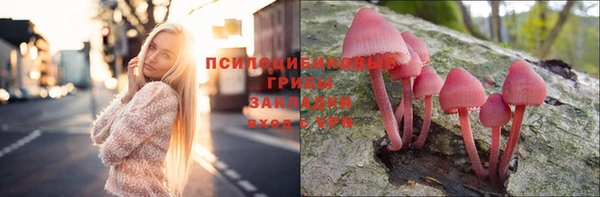 твердый Пролетарск
