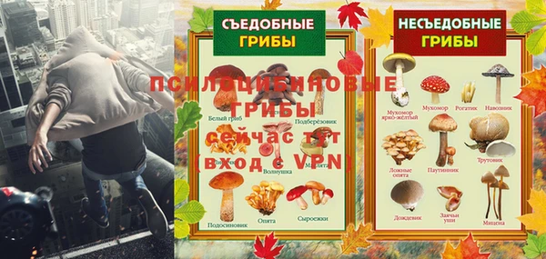 a pvp Протвино