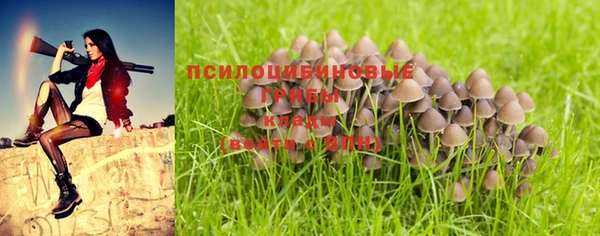 a pvp Протвино